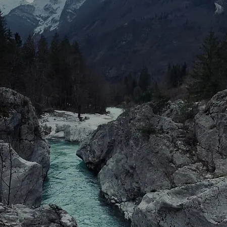 Apartma Beny With Sauna