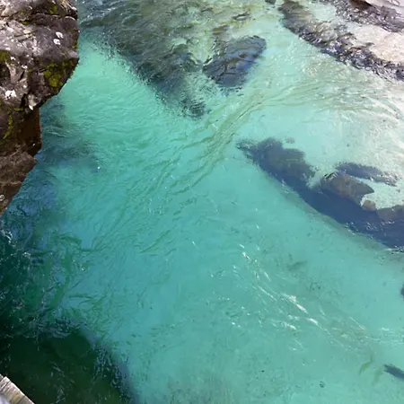 Apartment Apartma Beny With Sauna