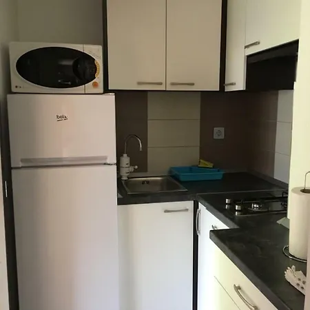 Apartment Apartma Beny With Sauna Zaga